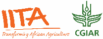 Logo IITA